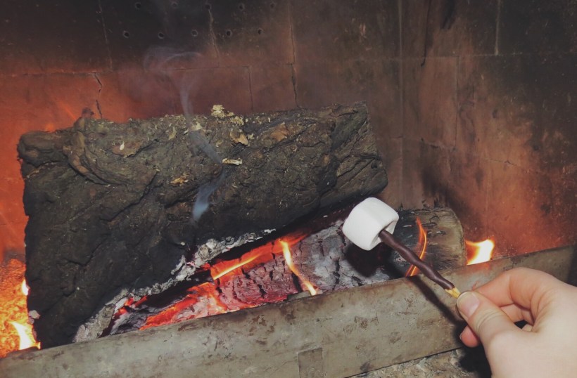 Processed with VSCO with f2 preset