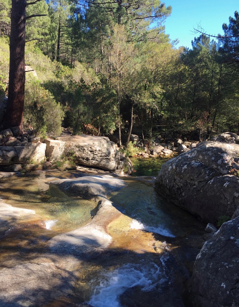 Processed with VSCO with kk1 preset