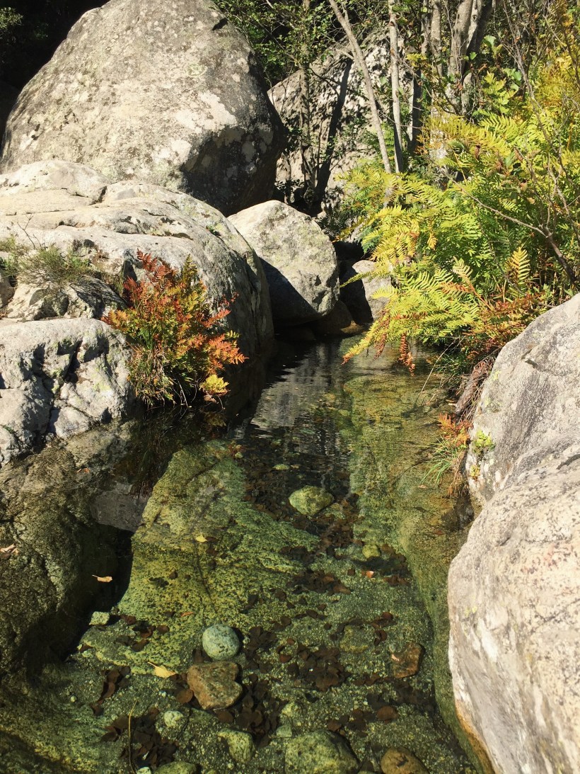 Processed with VSCO with g3 preset