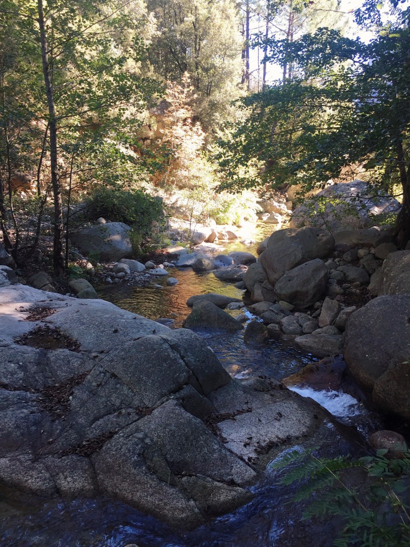 Processed with VSCO with kk1 preset