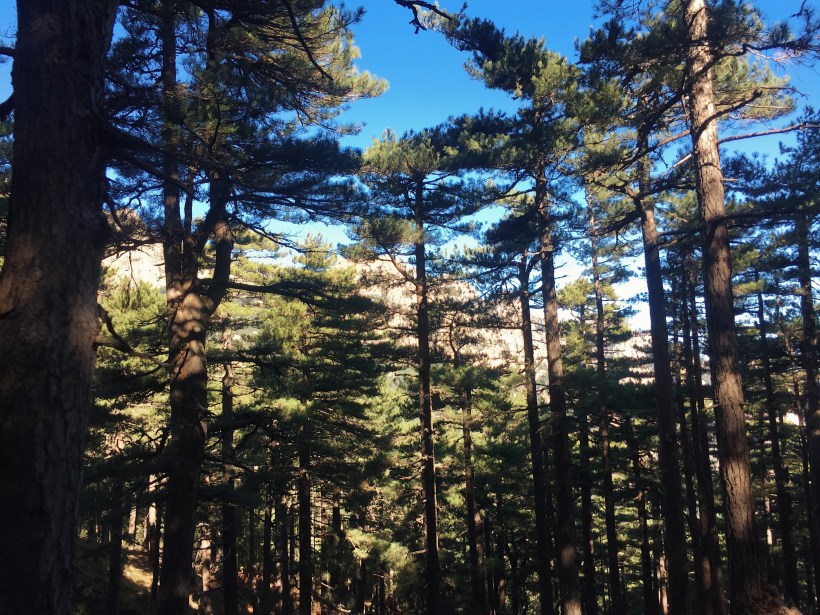 Processed with VSCO with kk1 preset