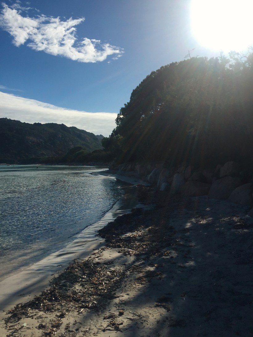 Processed with VSCO with kk1 preset