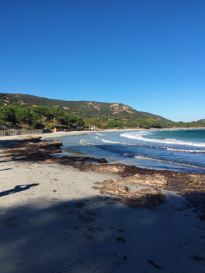 Processed with VSCO with kk1 preset