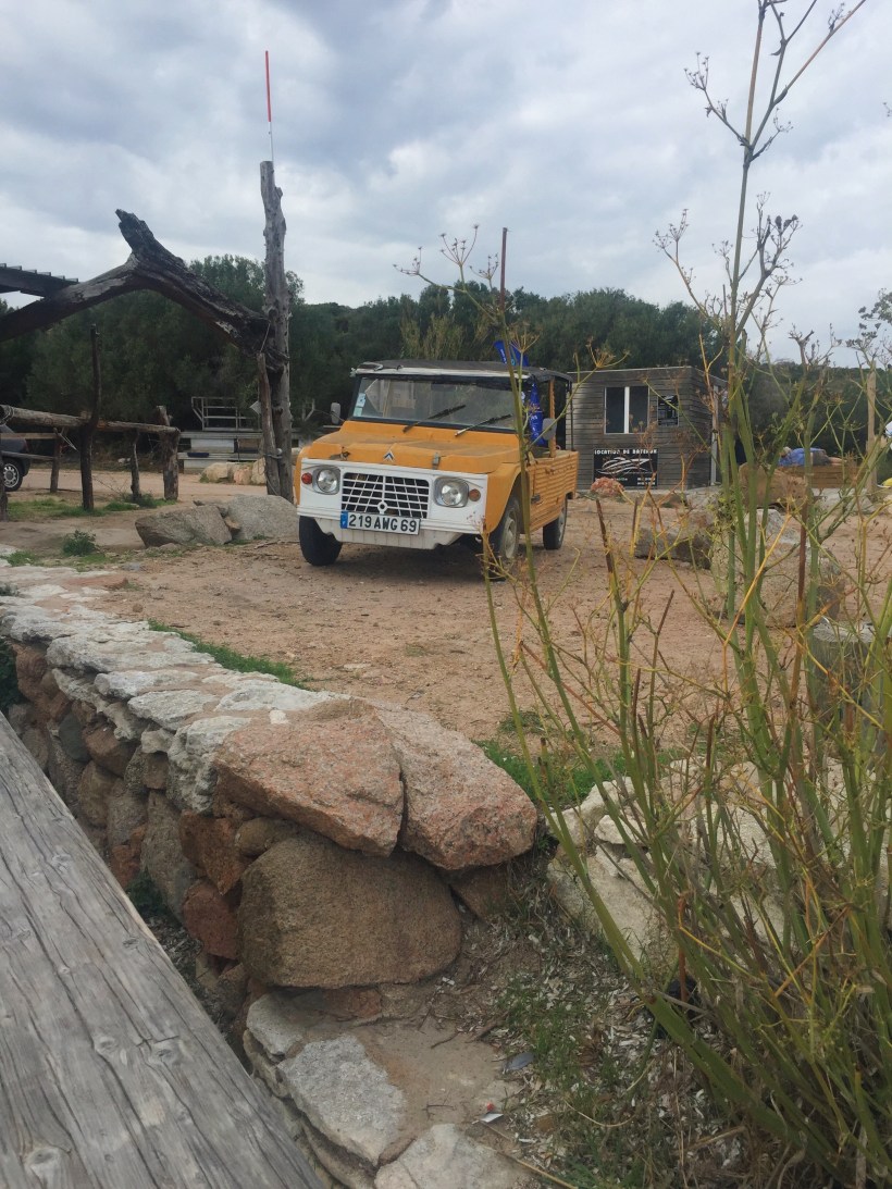 Processed with VSCO with a6 preset