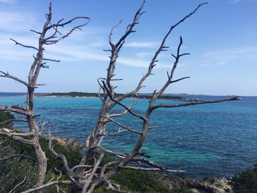 Processed with VSCO with a5 preset