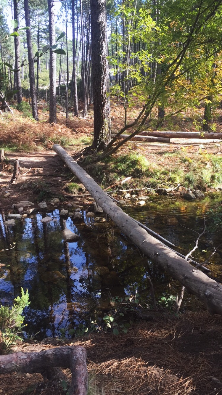 Processed with VSCO with m3 preset