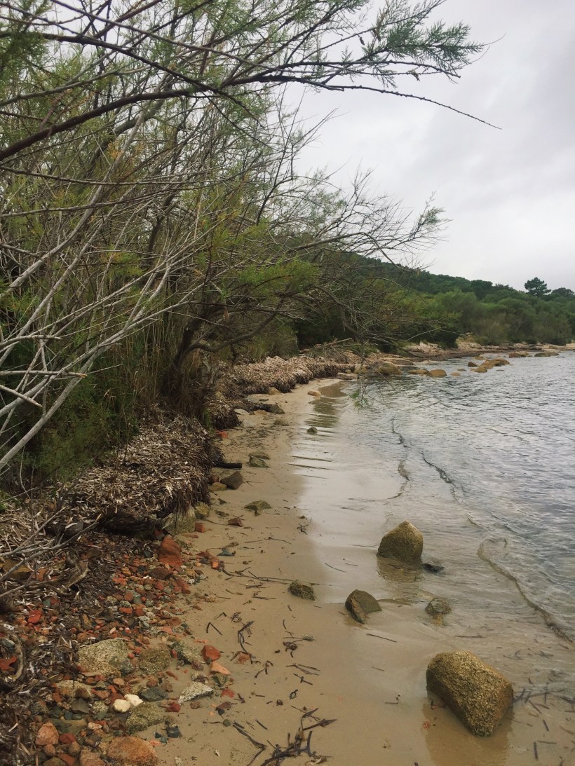 Processed with VSCO with m3 preset