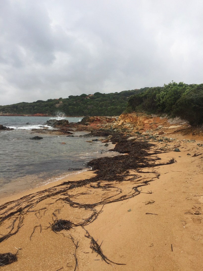 Processed with VSCO with a6 preset