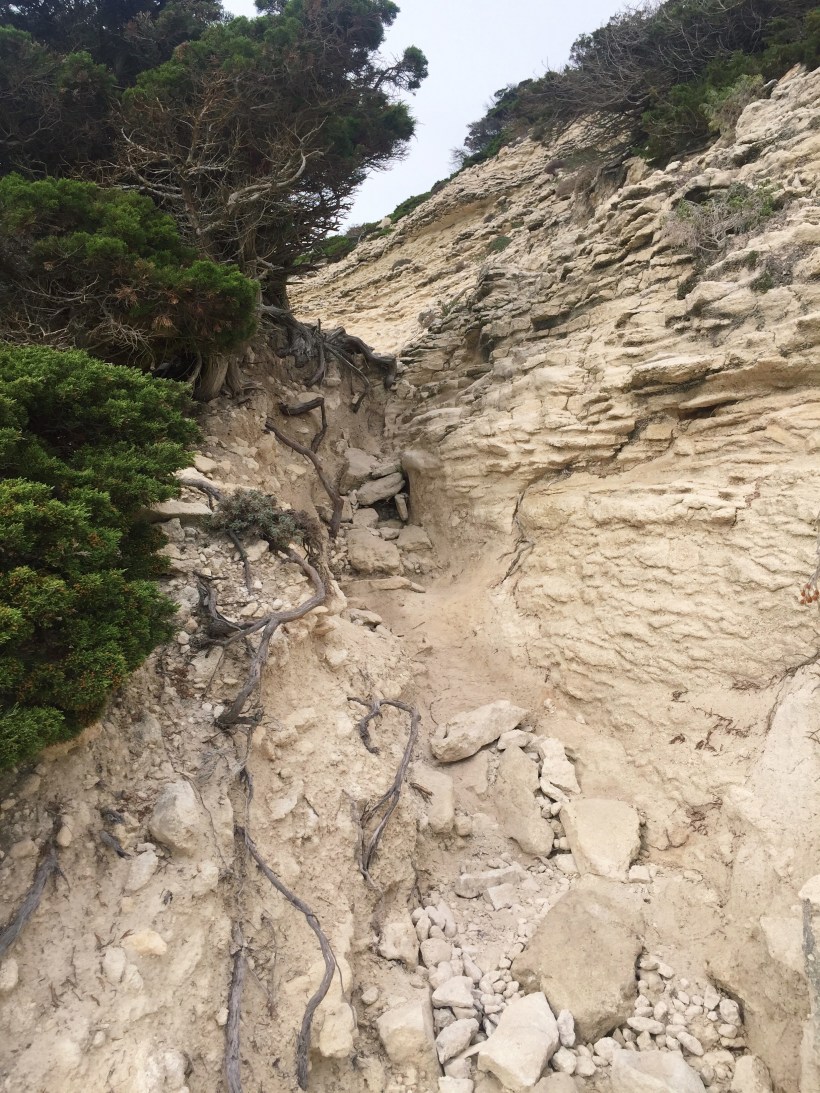 Processed with VSCO with c1 preset