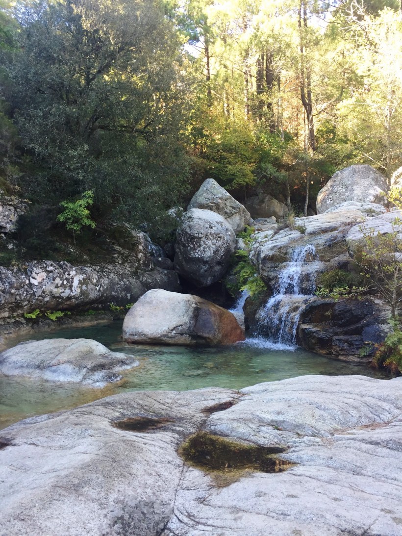 Processed with VSCO with a6 preset