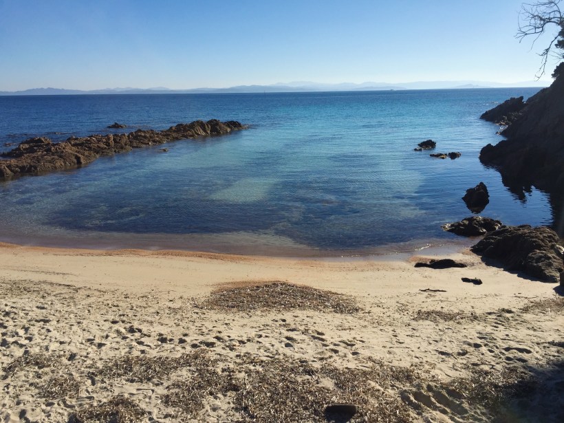 Processed with VSCO with g3 preset