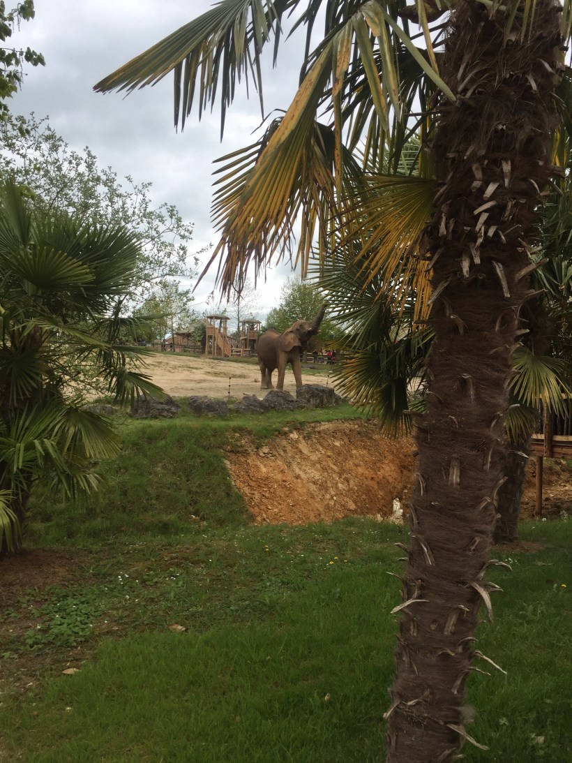 Processed with VSCO with a4 preset