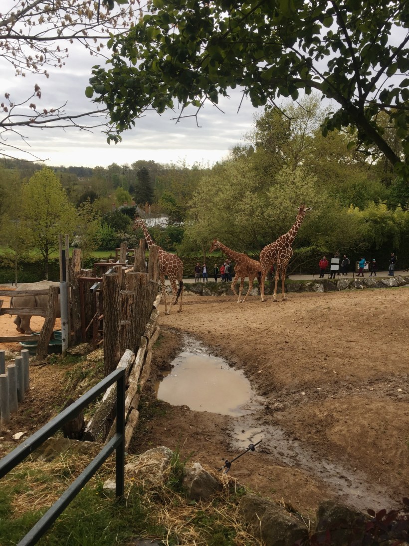 Processed with VSCO with m5 preset