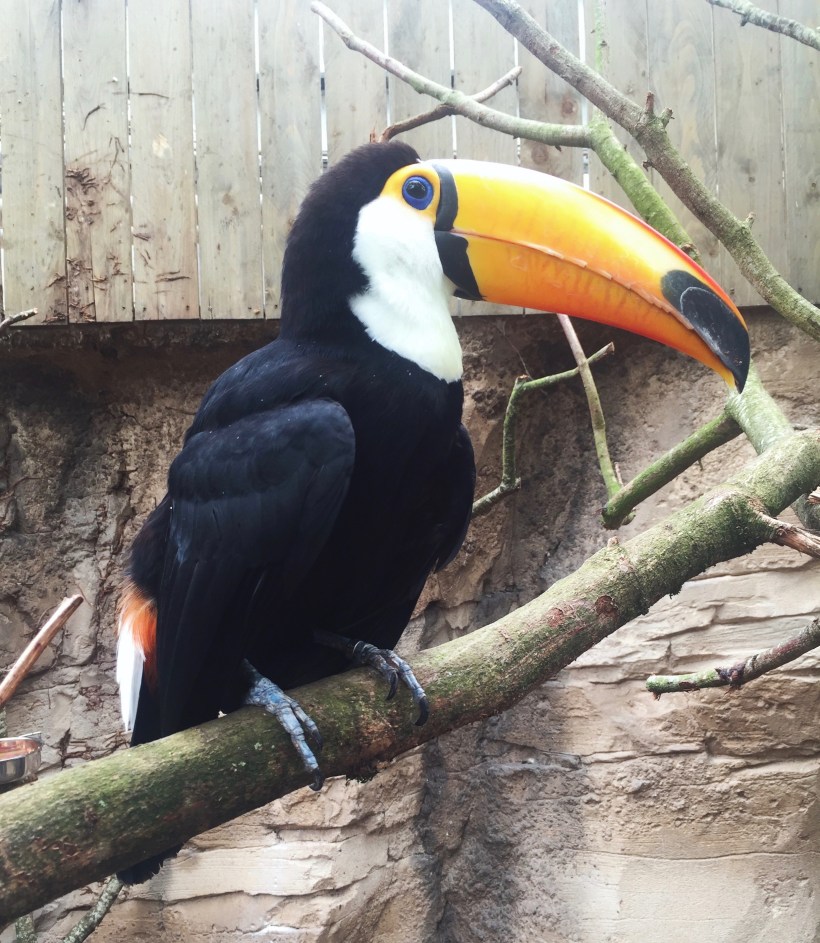 Processed with VSCO with m3 preset