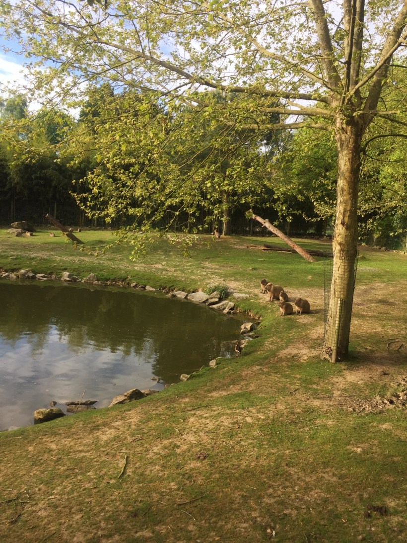 Processed with VSCO with m3 preset