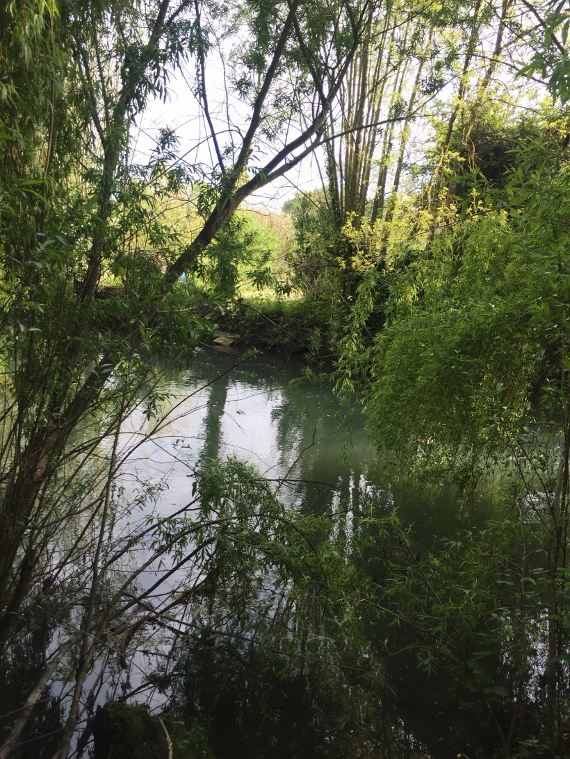 Processed with VSCO with hb2 preset