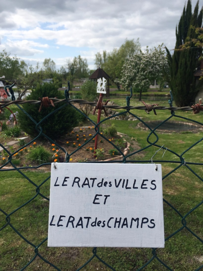 Processed with VSCO with hb1 preset