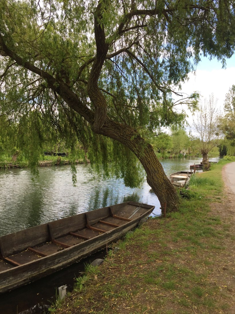 Processed with VSCO with a6 preset