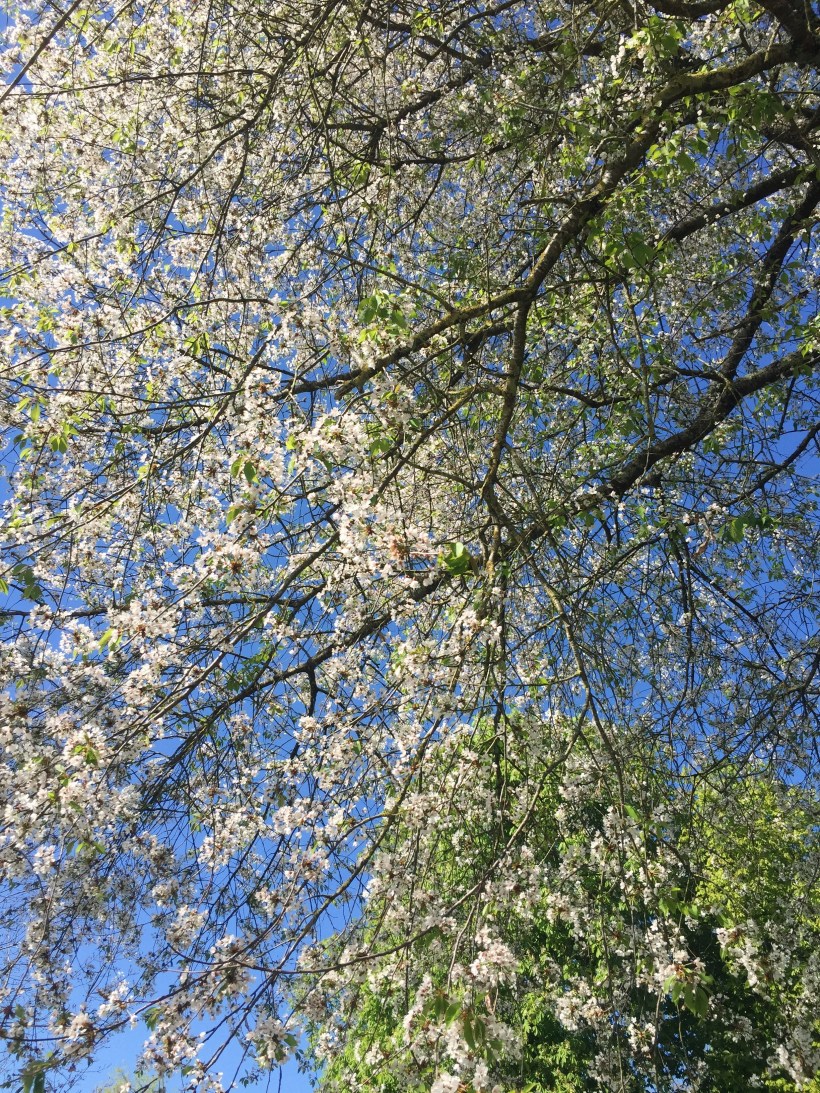 Processed with VSCO with a6 preset