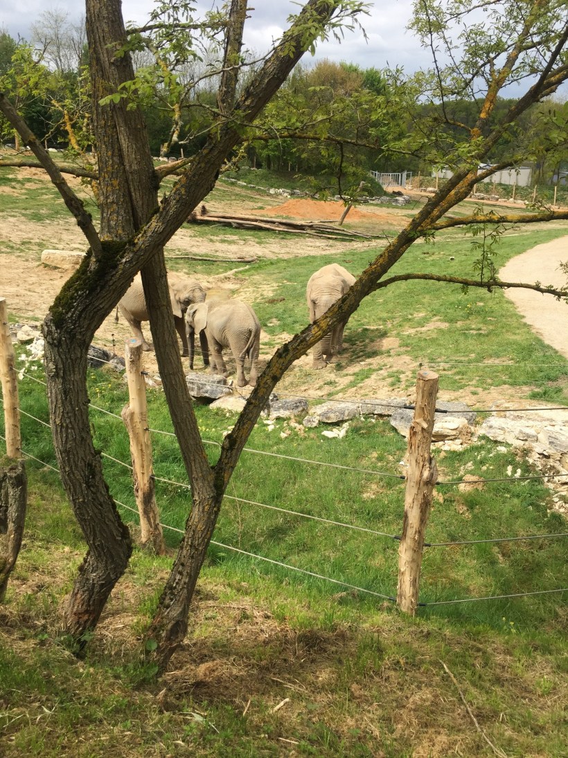 Processed with VSCO with a6 preset