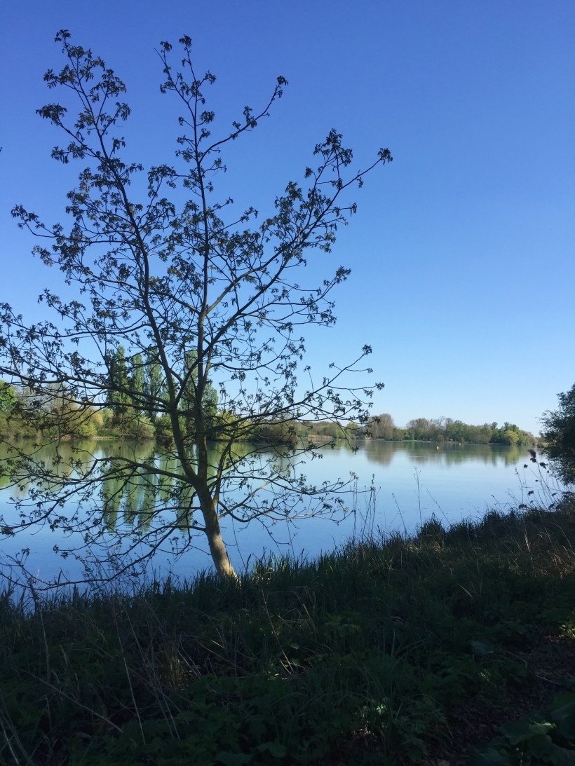 Processed with VSCO with a6 preset