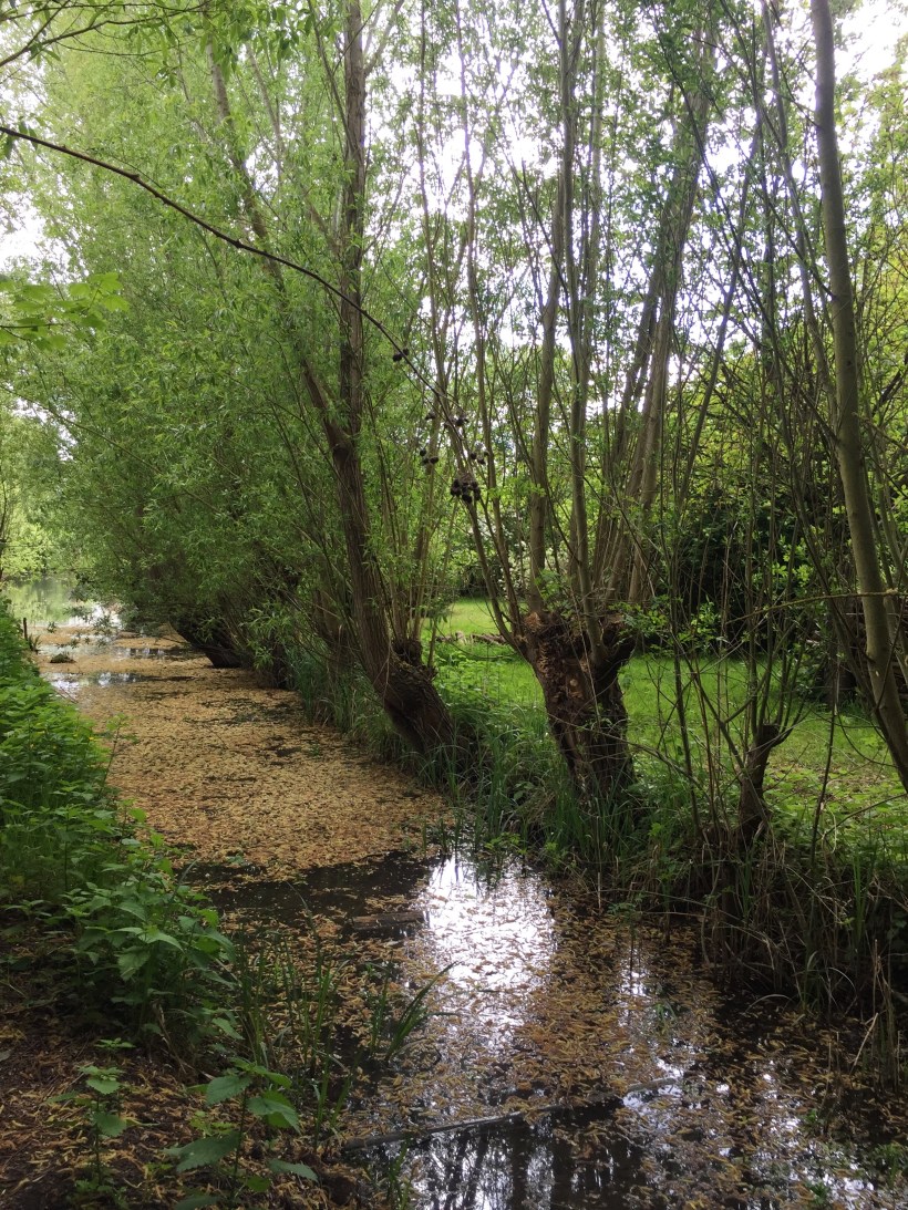 Processed with VSCO with a6 preset