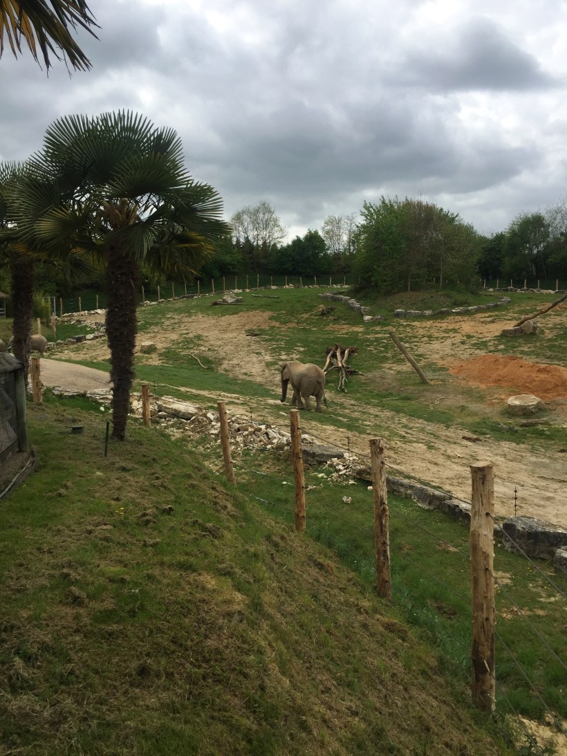 Processed with VSCO with a6 preset