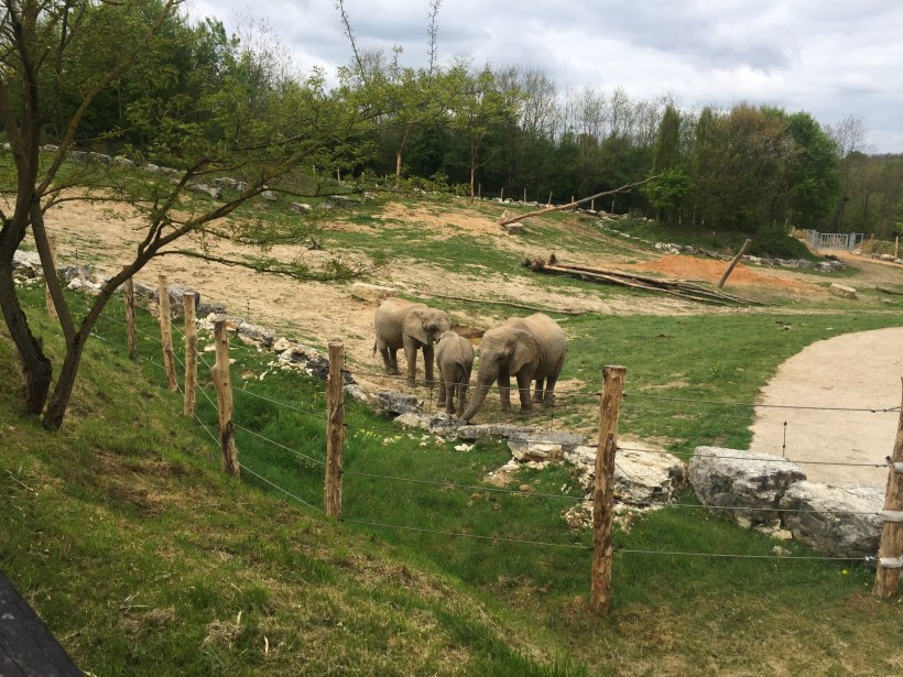 Processed with VSCO with a6 preset