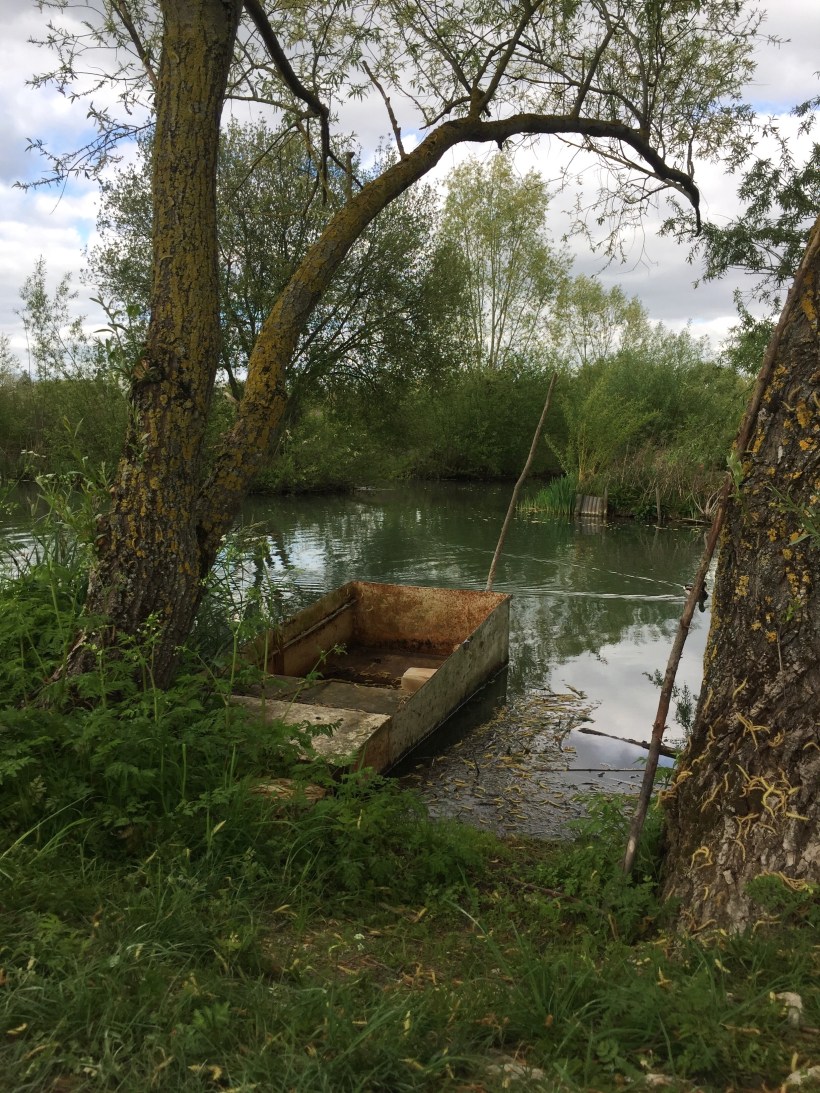 Processed with VSCO with a6 preset