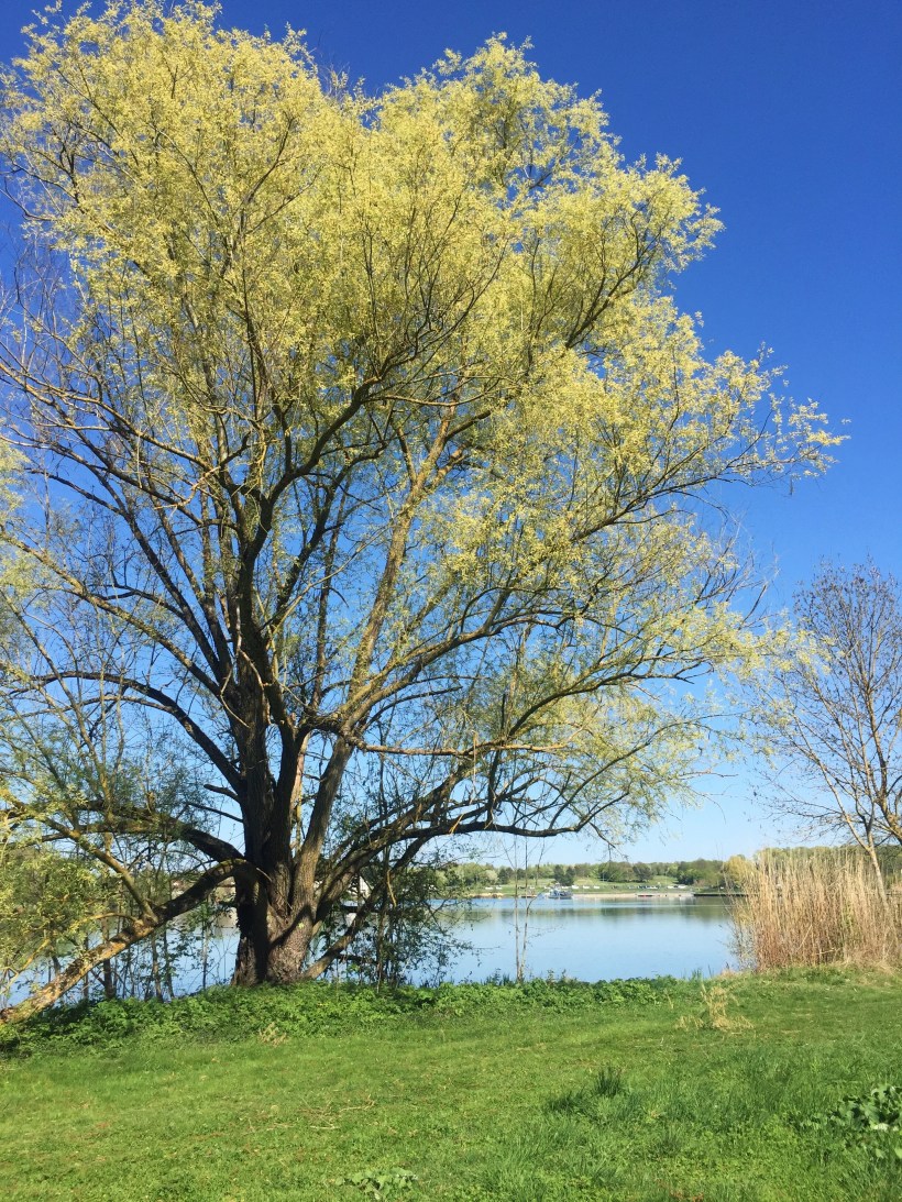 Processed with VSCO with hb2 preset