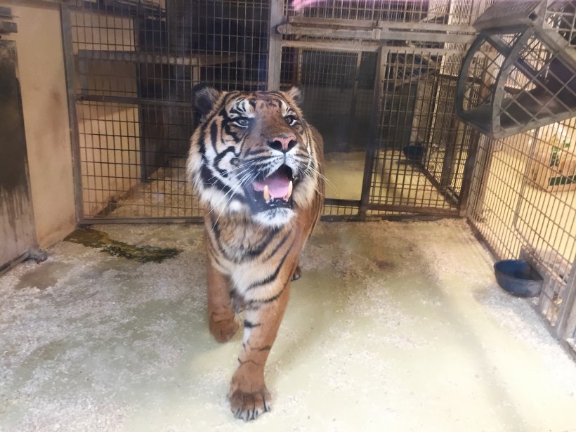 Processed with VSCO with a6 preset