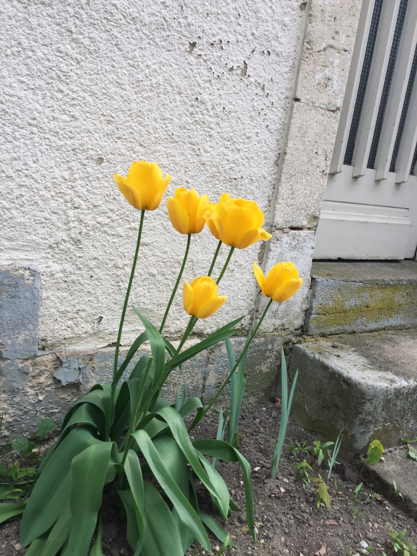 Processed with VSCO with g3 preset