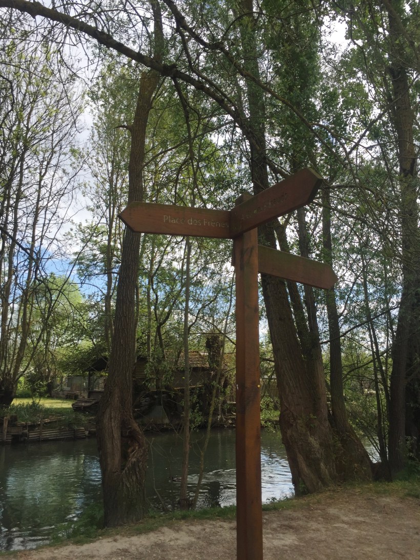 Processed with VSCO with a6 preset