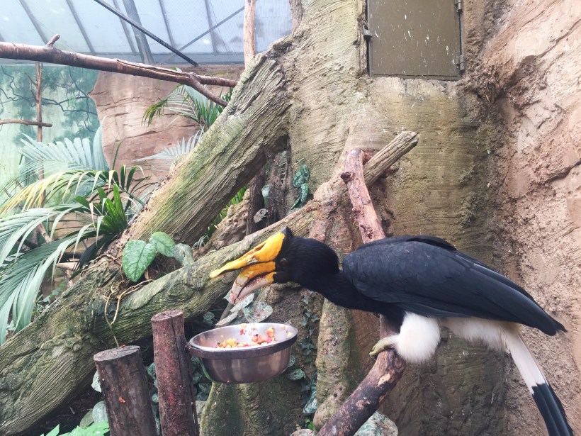 Processed with VSCO with hb2 preset