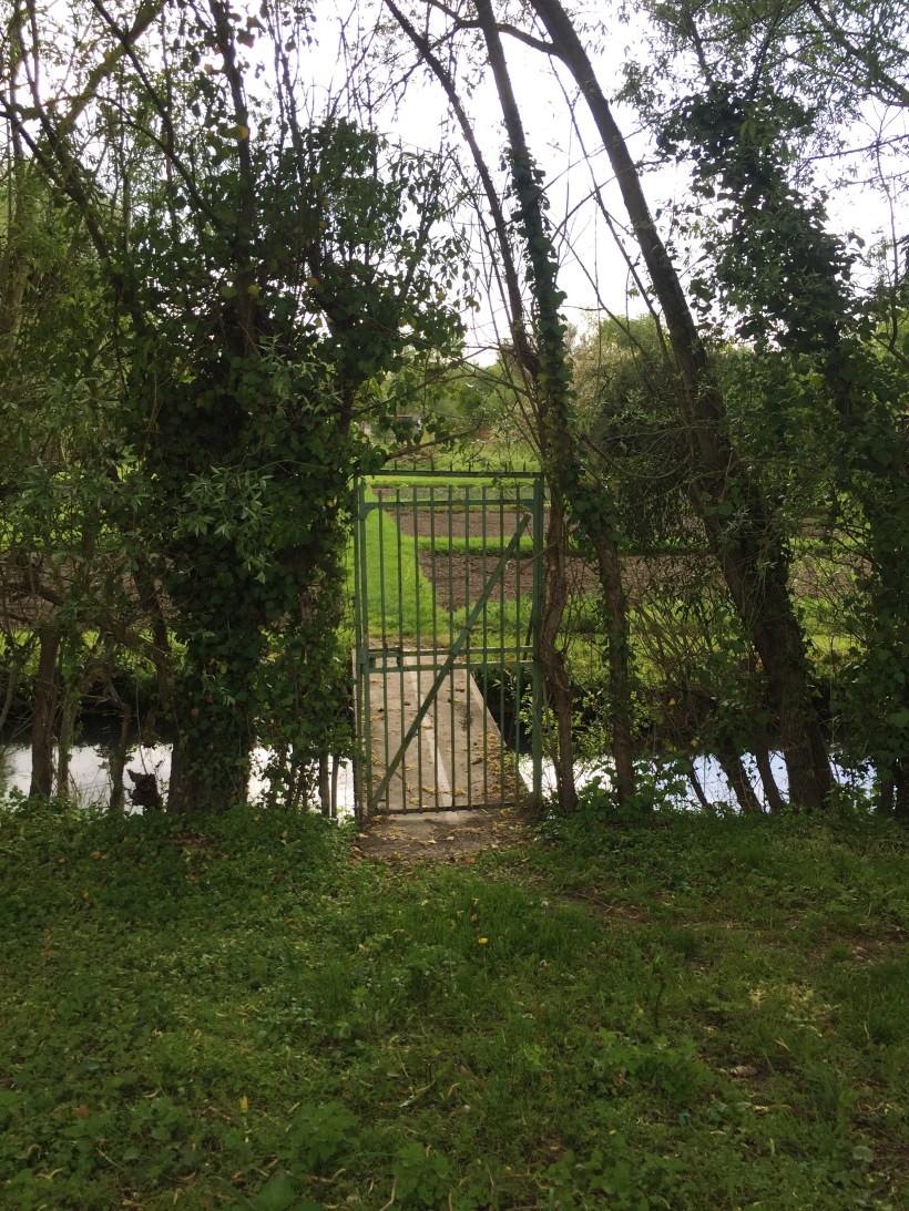 Processed with VSCO with a6 preset