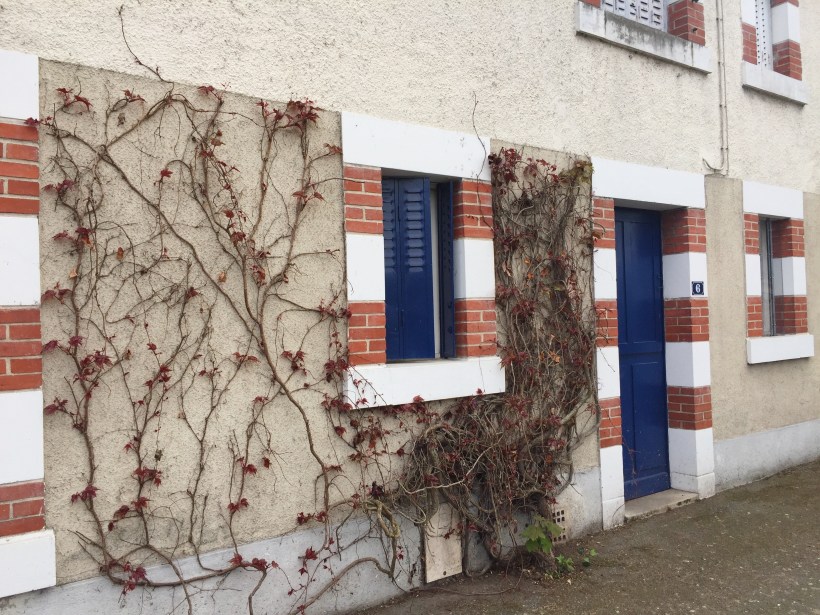 Processed with VSCO with a6 preset