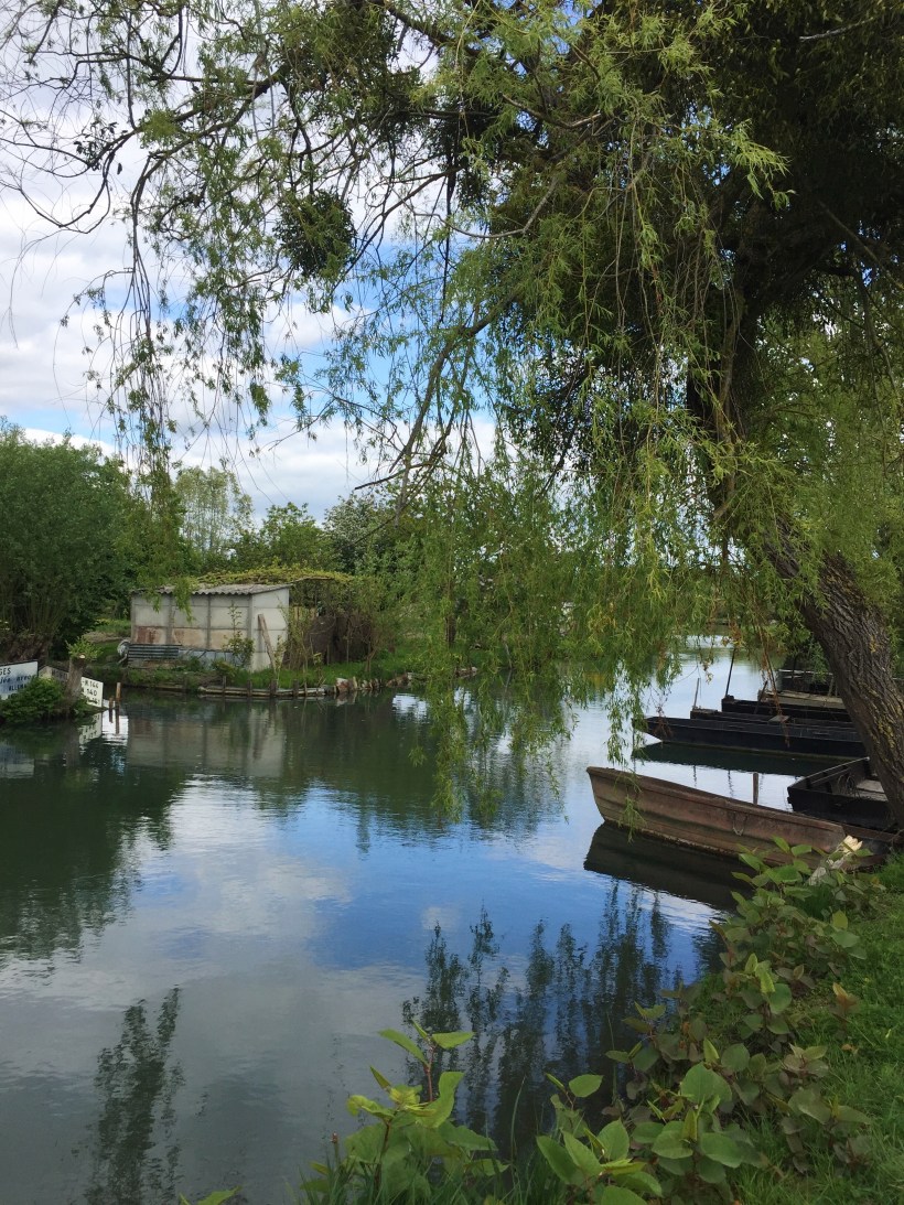 Processed with VSCO with a6 preset