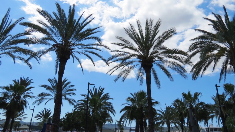 Processed with VSCO with f2 preset