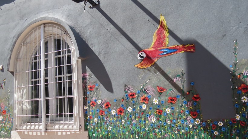 Processed with VSCO with a6 preset