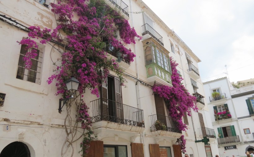 Processed with VSCO with a6 preset