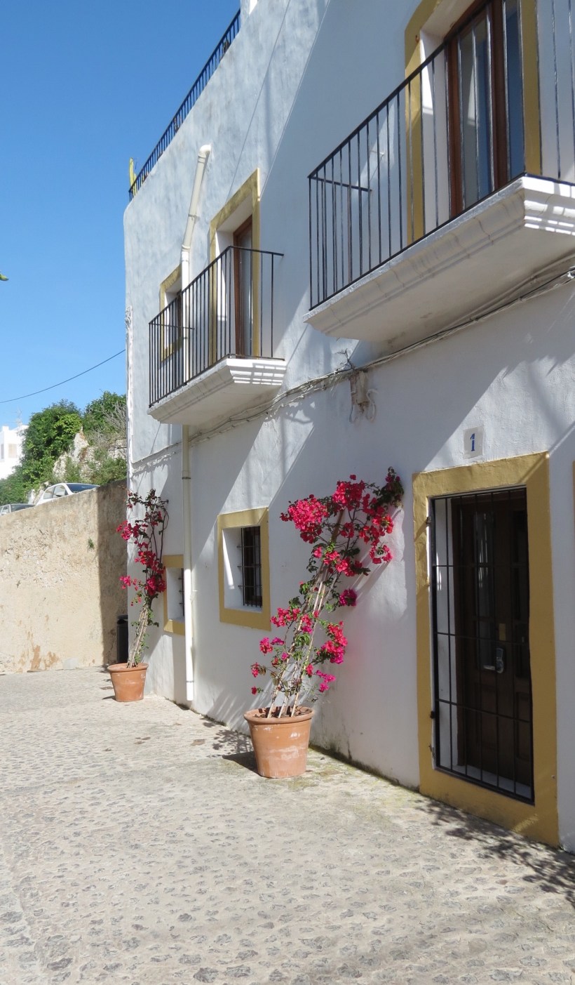 Processed with VSCO with a6 preset