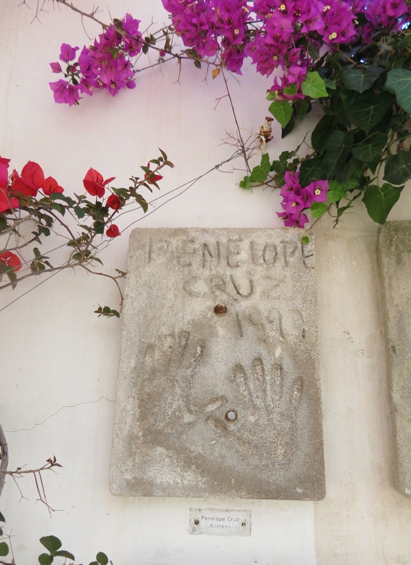 Processed with VSCO with a6 preset