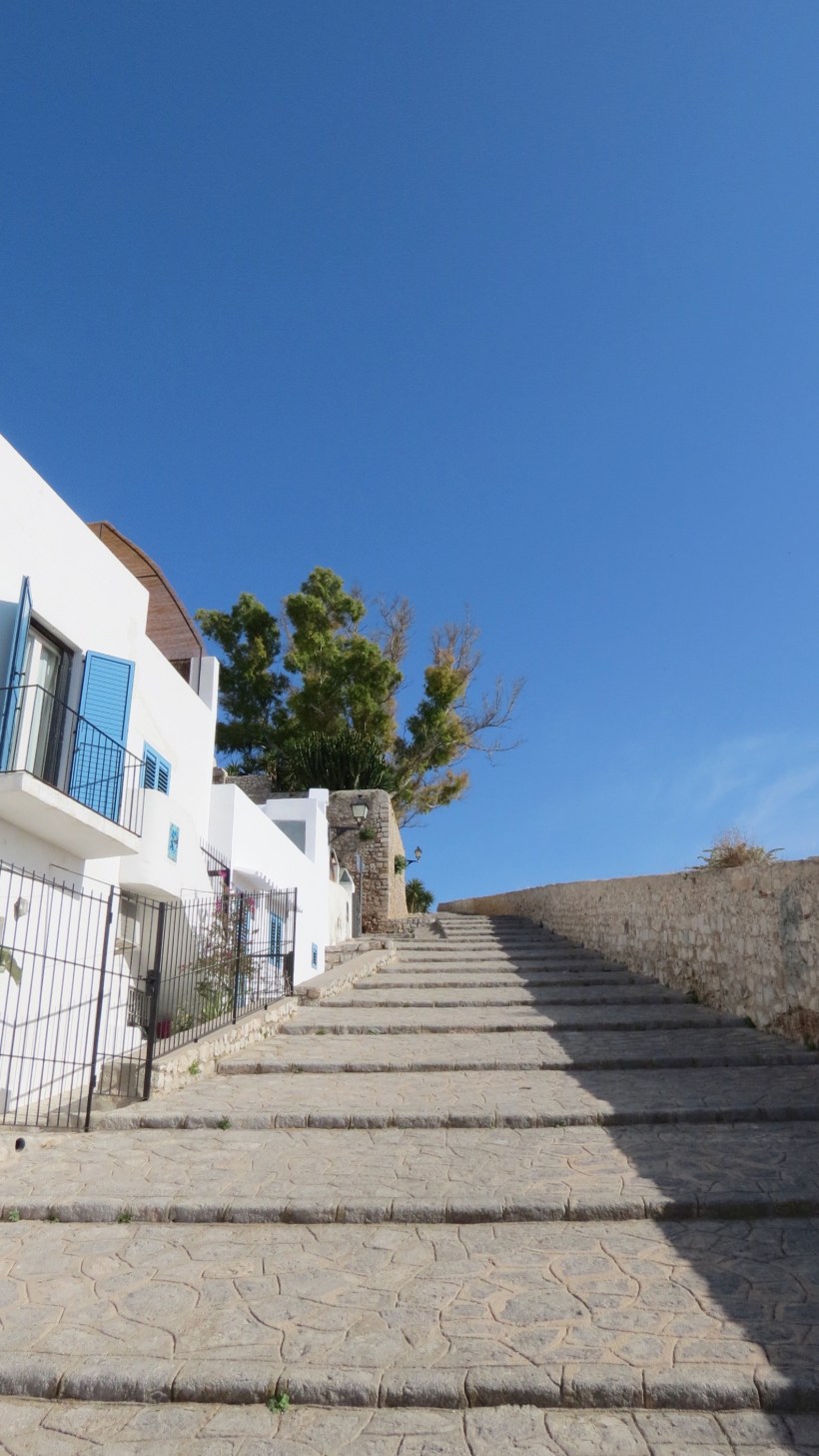 Processed with VSCO with a6 preset