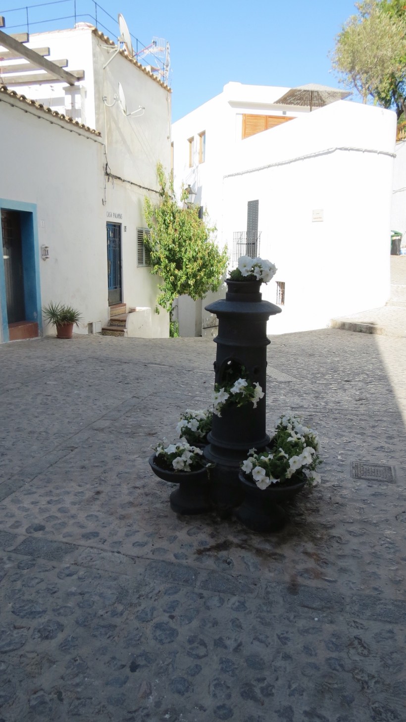 Processed with VSCO with a6 preset