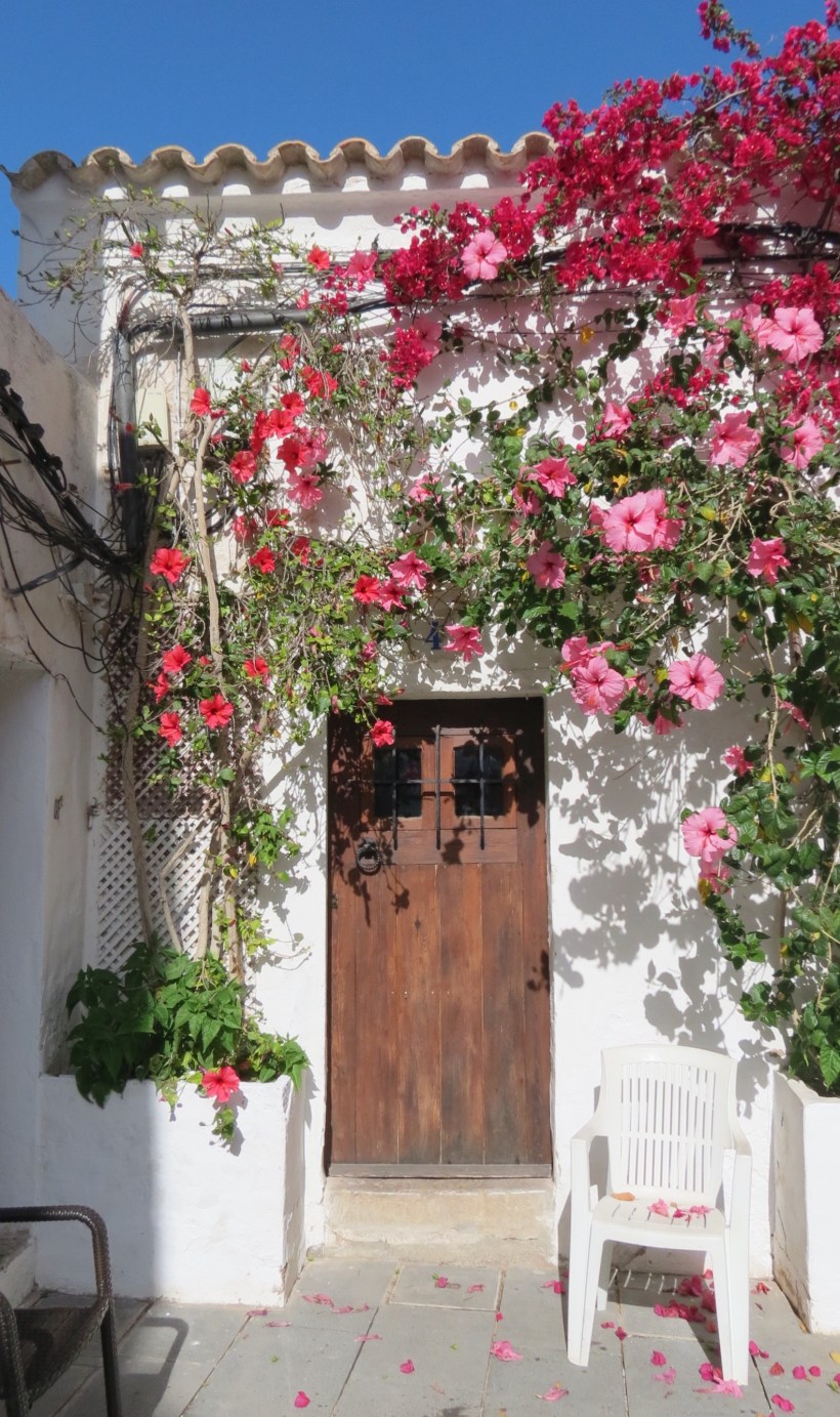 Processed with VSCO with a6 preset