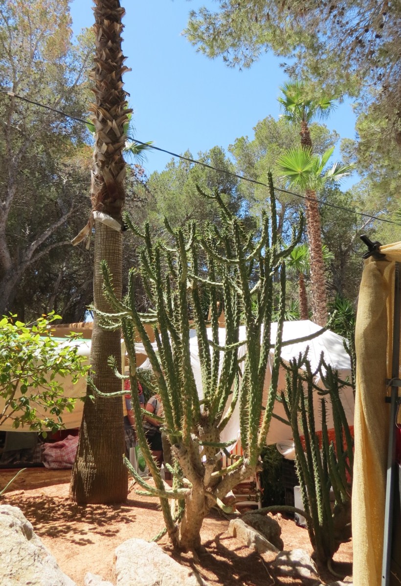 Processed with VSCO with a6 preset