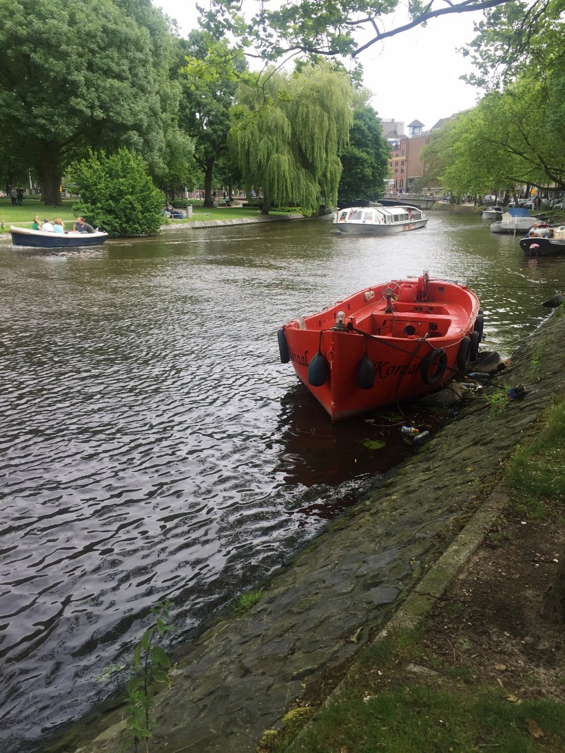 Processed with VSCO with g3 preset